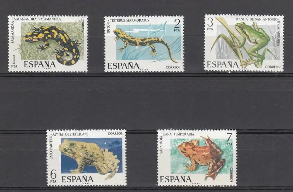 

5Pcs/Set New Spain Post Stamp 1975 Frogs Lizards Geckos Stamps MNH