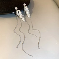 2021 new fashion long metal tassels crystal drop earrings jewelry sweet senior pearl modelling women earrings trend