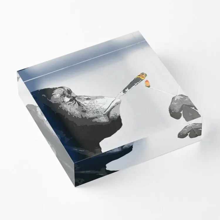 

Бэнкси стез чимп обезьяна курительные соединения акриловые блоки художественное оформление печать Спальня Декор домашний семейный прозра...