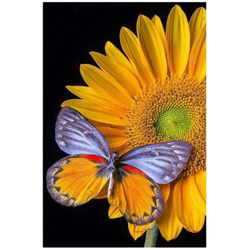 

Sunflower butterfly DIYDiamond Painting yellow butterfly on Sunflower Diamond Embroidery Cross Stitch Rhinestone Mosaic Painting
