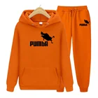 Мужской спортивный костюм из двух предметов, толстовка с капюшоном и штаны из шерсти и брюк, спортивный костюм для мужчин, 2021