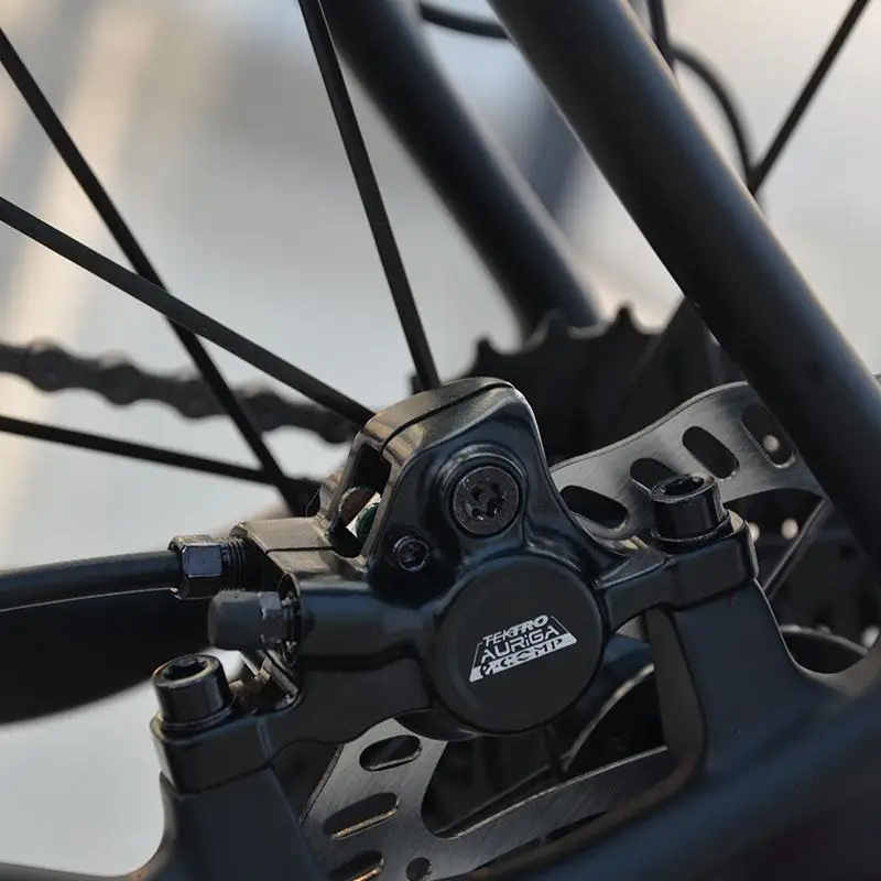 17 5 дюймов Электрический горный велосипед 2 колеса 250 Вт 36 В карбоновая рама