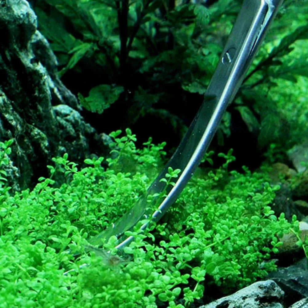 

Aquarium Tank Aquascaping Tools Aquarium Scissor Tweezers Tool Stainless Steel Aquatic Plants Tool for Aquarium Maintenance