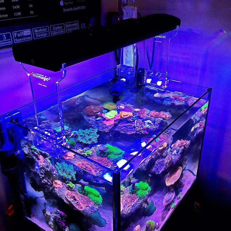 저렴한 Illumagic 해수 산호초 램프 스타일 해수 탱크 램프 LED 램프 풀 스펙트럼 Xmini X60 저렴한 Illumagic 해수 산호초 램프 스타일 해수 탱크 램프 LED 램프 풀 스펙트럼 Xmini X60