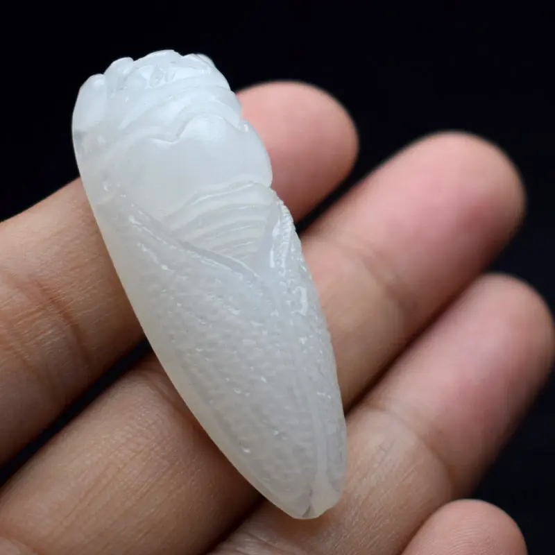 Открытая подсветка изумительное прорастание маленькой красивой искусственной