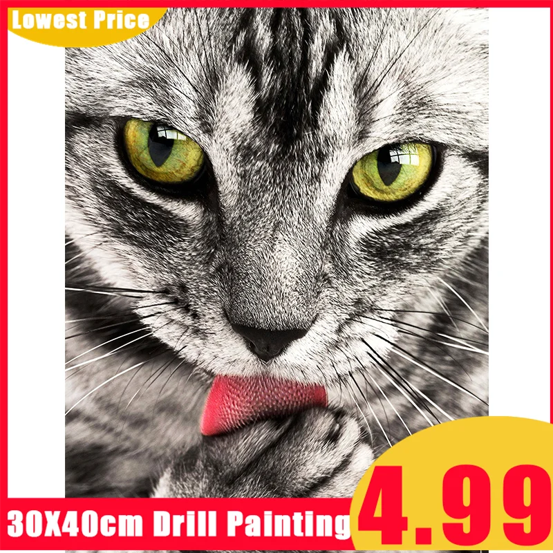 5D DIY Алмазная картина полностью квадратная/круглая дрель &quotмилый кот&quot узор
