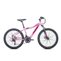 21speed aluminum alloy city bike low cross point sports womens cool adult sports bicycle