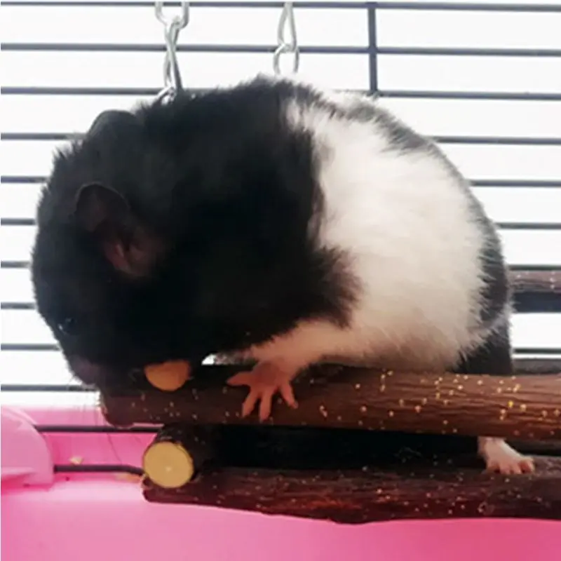 Хомяк деревянная кровать качели кролик висящий гамак для домашних животных