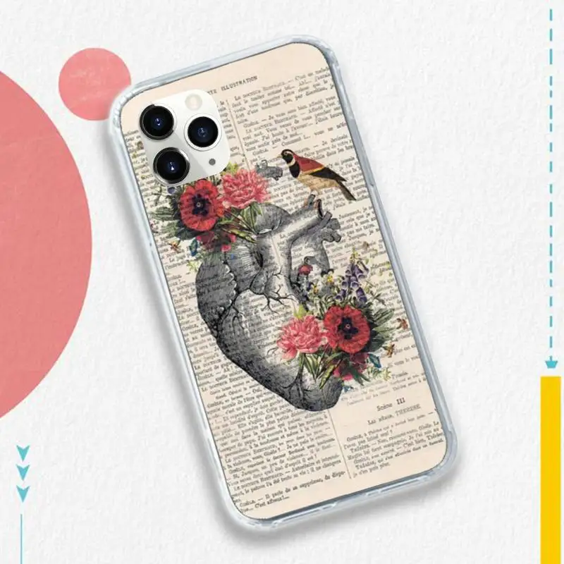 

Human anatomy organ in art Clear Phone Case for iPhone 11 12 pro XS MAX 8 7 6 6S Plus X 5S SE 2020 XR