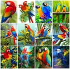 Алмазная вышивка полный квадратныйкруглый дисплей алмазная живопись Фотографии попугая Стразы Алмазная с изображением птицы Мозаика Искусство Вышивка крестом