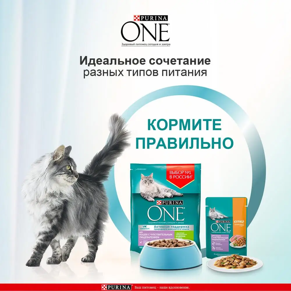 Сухой корм Purina ONE для кошек с чувствительным пищеварением индейкой и рисом Пакет 1