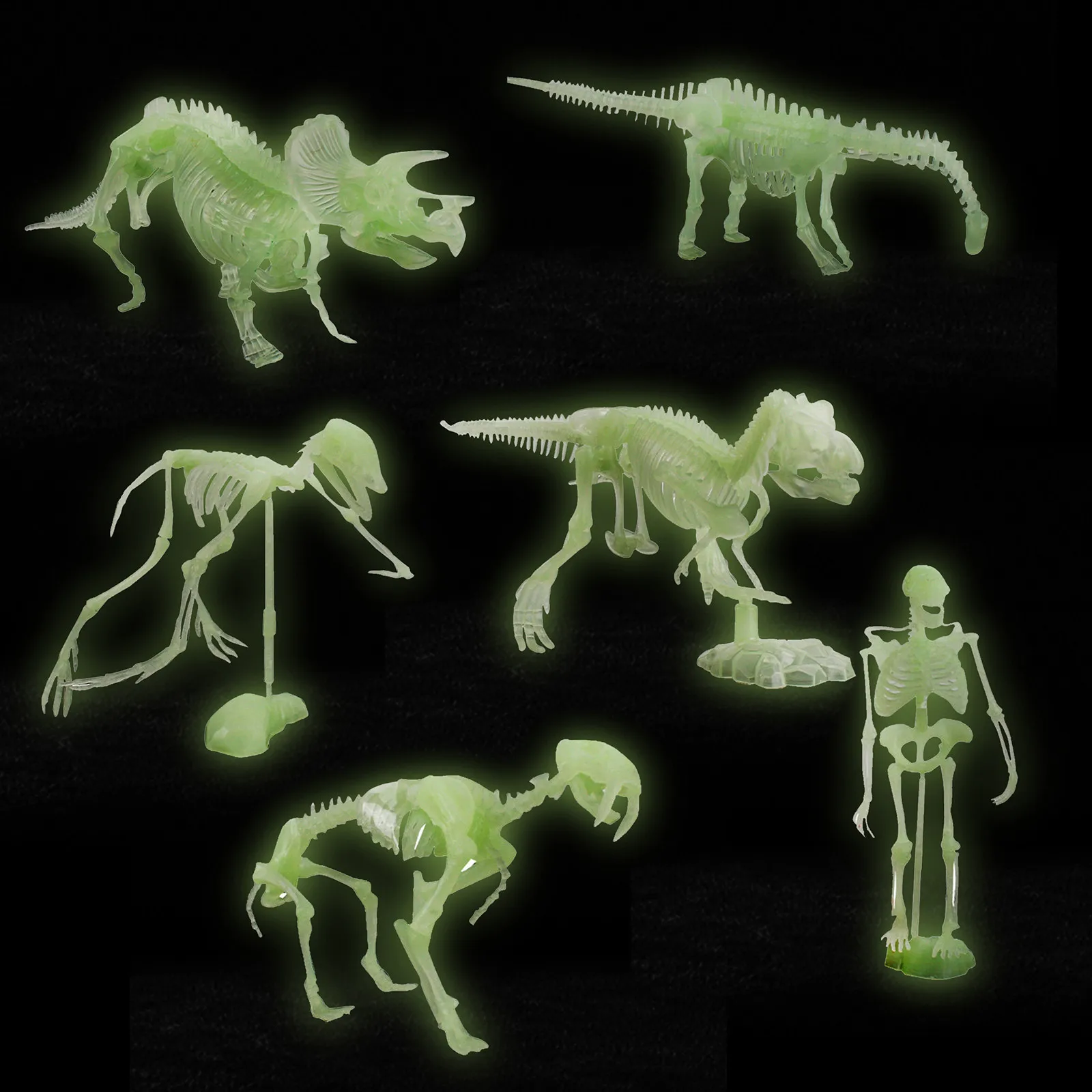 

Noctilucent Dinosaur Fossils Human Skeleton Model Assembly Skull Toy Bones Decoration For Home Office Halloween Party Favor