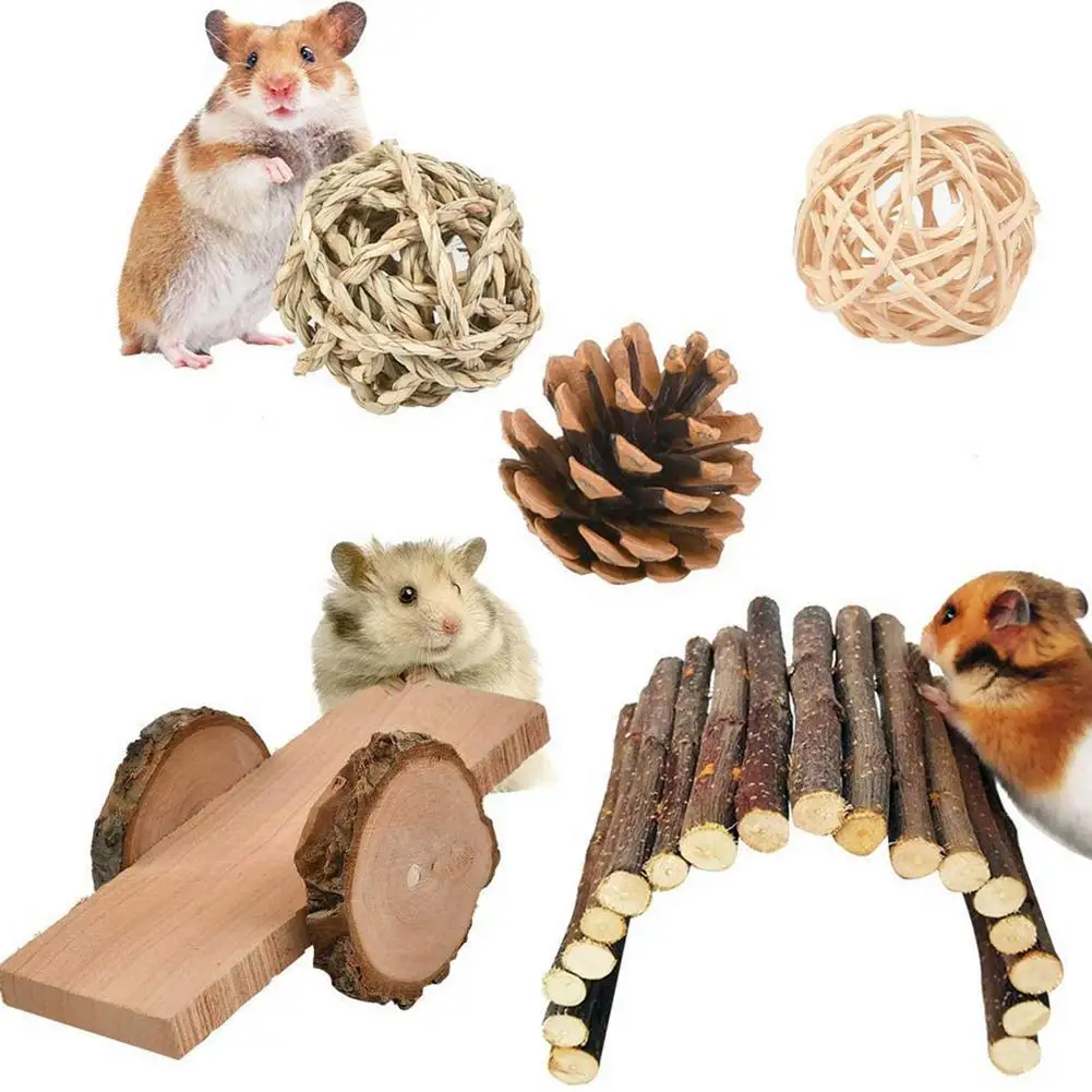 

12 Packs Of Hamster Chew Toys Wooden Rabbit Teeth Care Molar Toys Chew Toys Seesaw Arch Dental Care