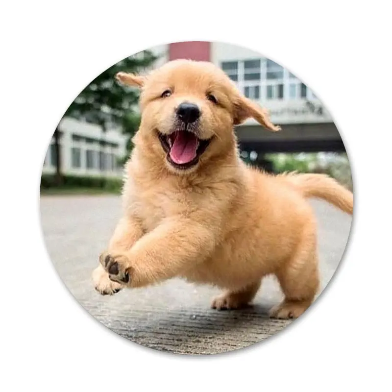 

58mm Lovely Golden Labrador Retriever Icons Pins Badge Decoration Brooches Metal Badges For Backpack Decoration