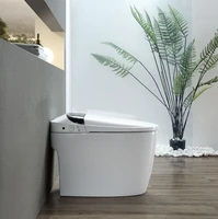 american standard cupc best intelligent bidet toilet seat modern bathroom prodigy elongated smart bidet toilet