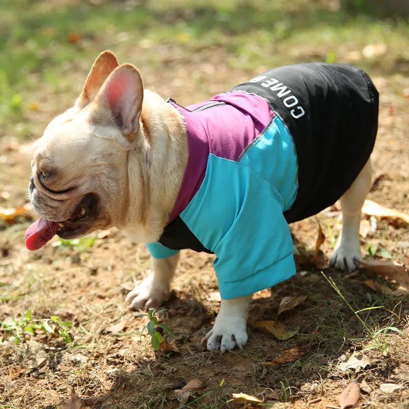 Hipidog стоячий ошейник модная одежда для собак куртки щенков бесплатная доставка |