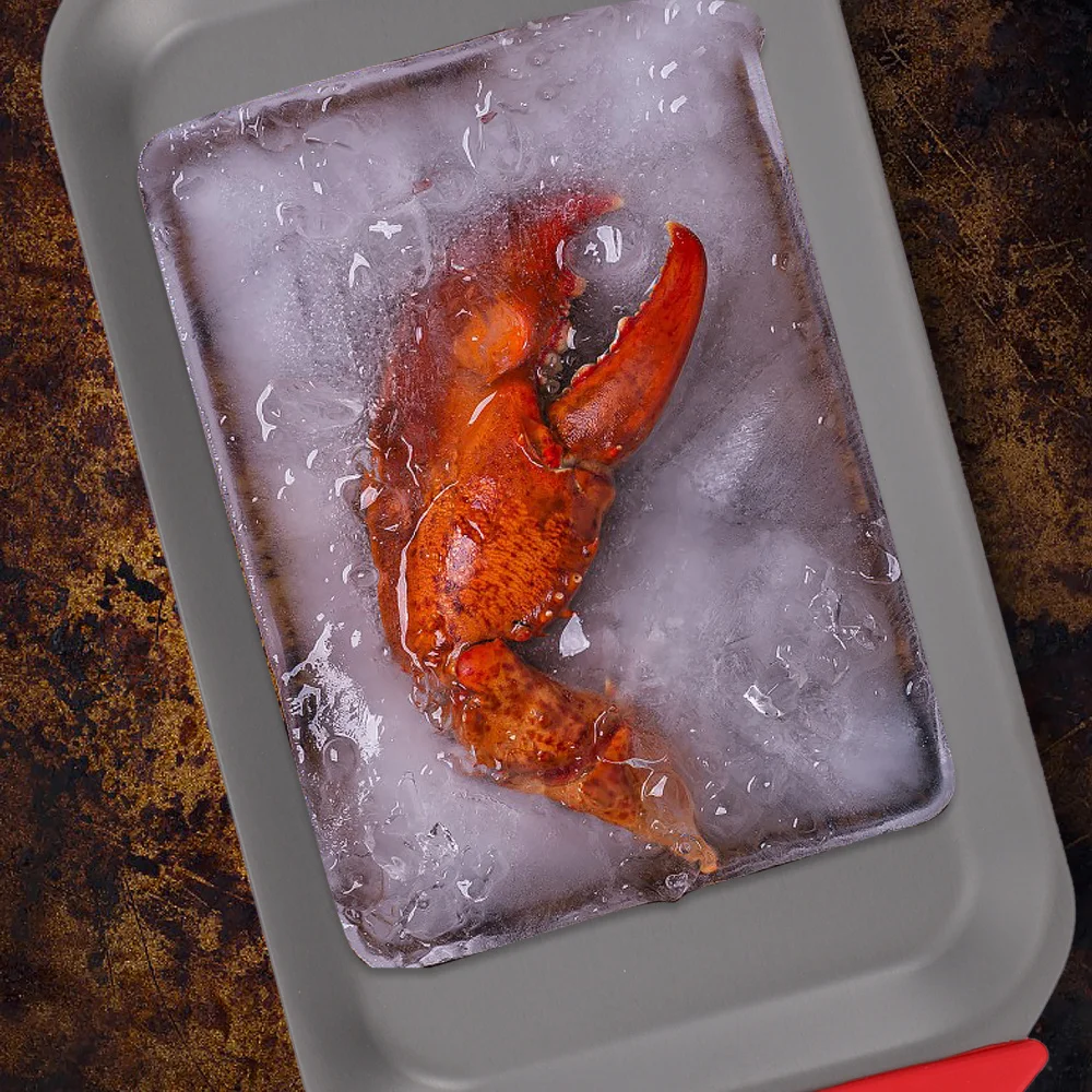 

Fast Defrosting Tray Rapid Thawing Plate Home Kitchen Defrosting Plate Tool