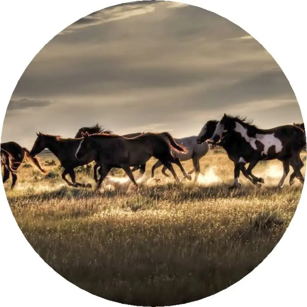 

Running Horses Tire Cover 26" - 37"