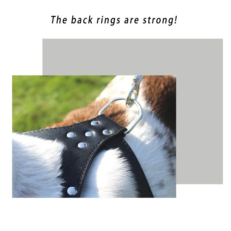 Ошейник из искусственной кожи для собак средних и больших размеров ошейник