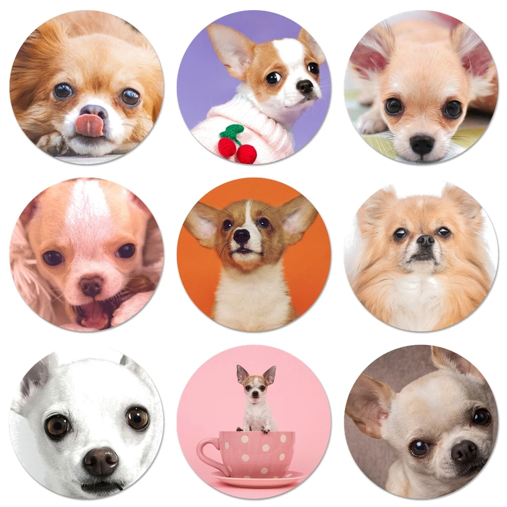 

Магнитная открывалка для бутылок с надписью «I Love My Chihuahua Dog»