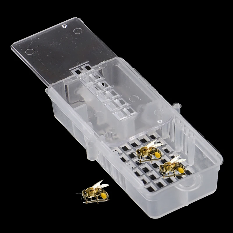 

Bee Tool Bee Transport Cages Beekeeping Equipment Queen House Beehive Bee Cage White transparent Bee Cage