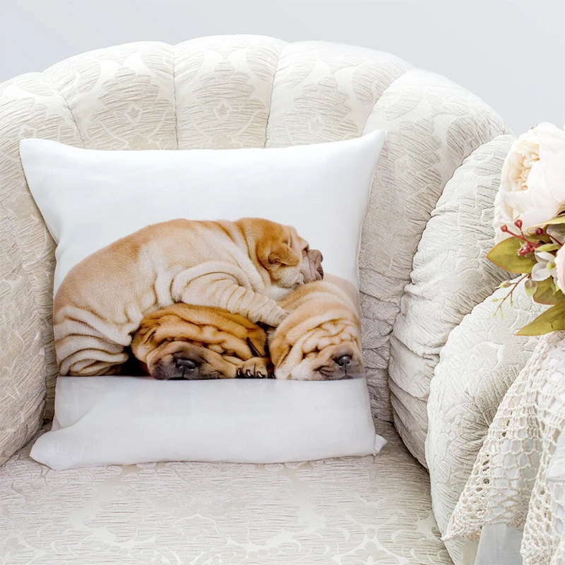 

Can choose size pillowcase Cotton polyester interesting Sofa Bed Home Decorative Pillowcases