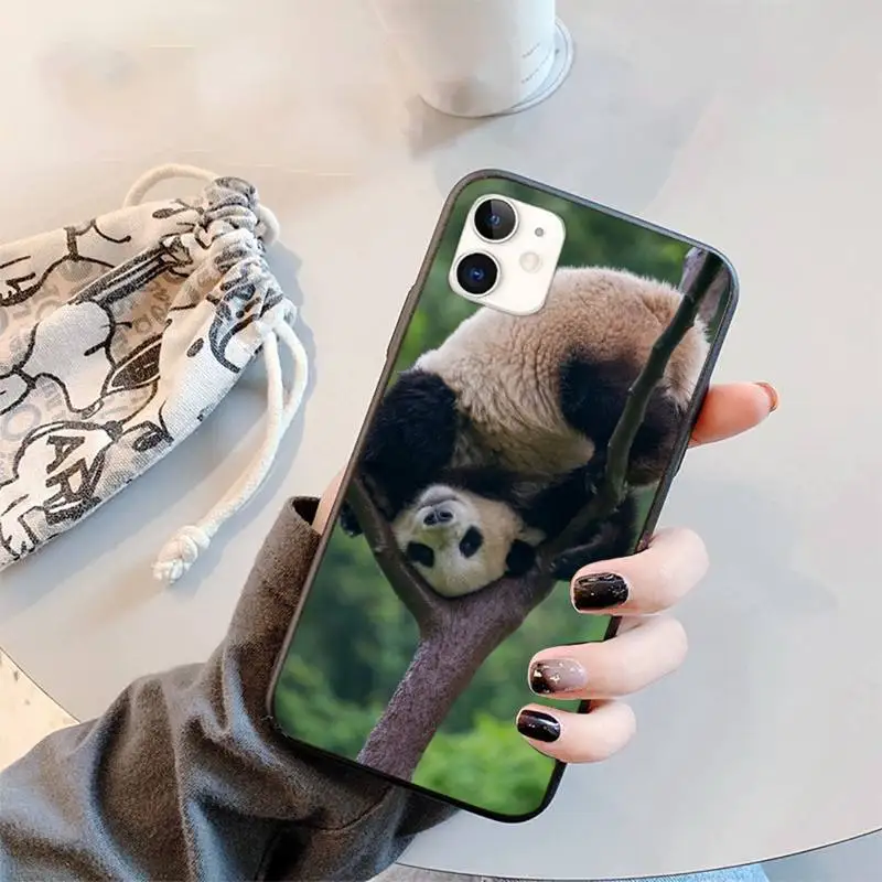 

animal panda Phone Case for iPhone 12 11 mini pro XS MAX 8 7 6 6S Plus X 5S SE 2020 XR
