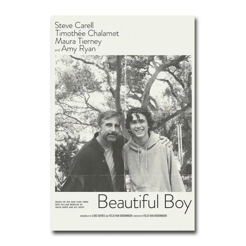 Красивый мальчик искусственный шелк плакат искусство легкий холст украшение для