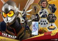 hot toys mms498 16 ant man the wasp the wasp full set collection figure in stock