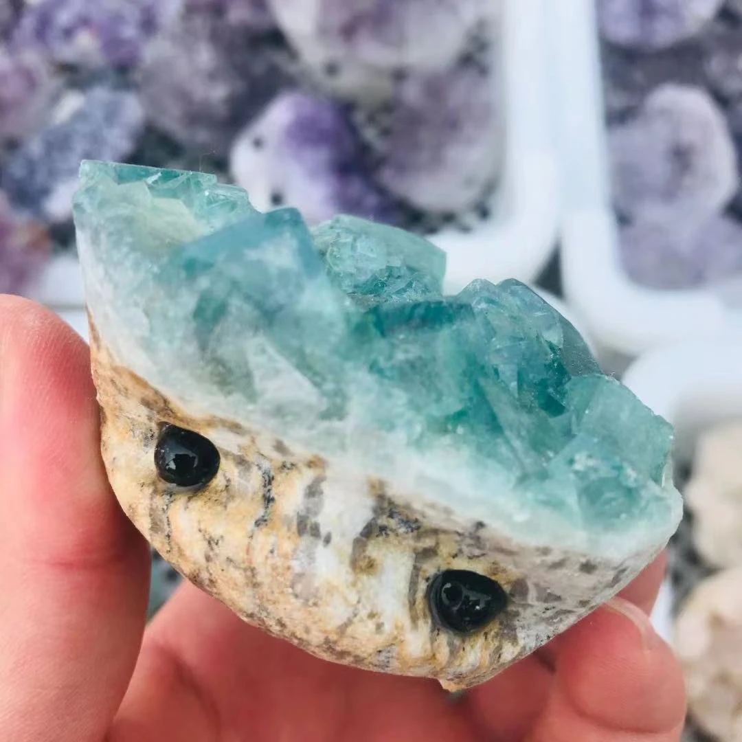 

MOKAGY 5 см-8 см, Натуральная Зеленая фотография, фотография, 1 шт.