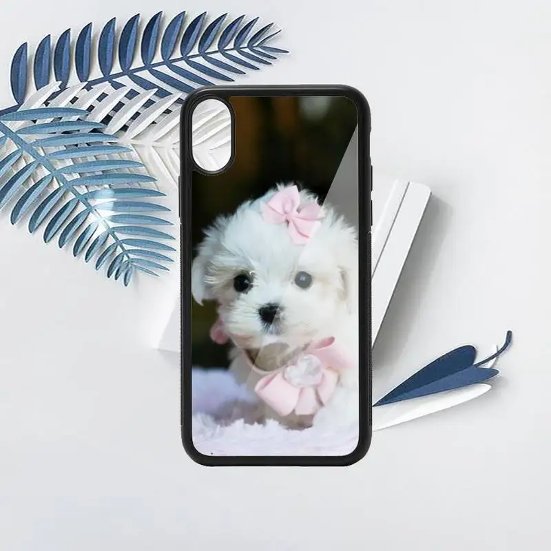 

Cute animal Maltese Dog Puppy Phone Case PC for iPhone 11 12 pro XS MAX 8 7 6 6S Plus X 5S SE 2020 XR