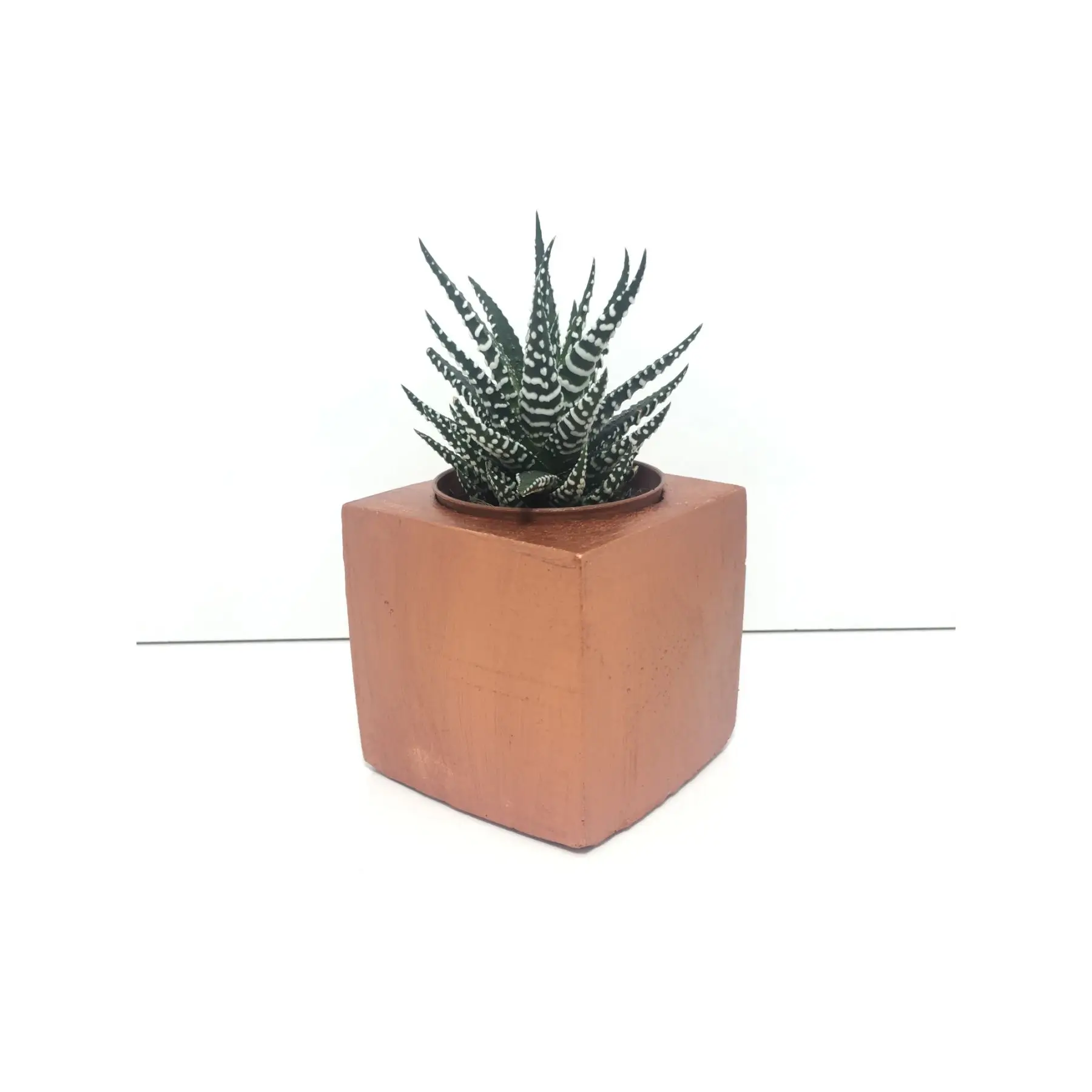 

Кубический бетонный горшок и Live Sukulent - YE1601