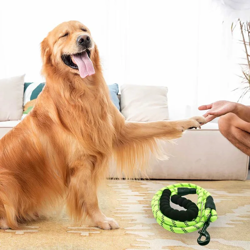 

Reflective Colorful Dog Leashes 150cm Nylon Dog Leash Rope With Comfortable Handle For Medium Large Dogs Pet Collar Accessories