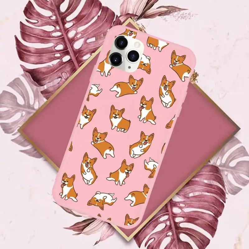 

Chihuahua dog cute animal Phone Case Candy Color for iPhone 6 7 8 11 12 s mini pro X XS XR MAX Plus