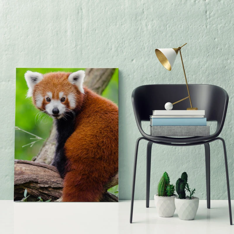 Картина сделай сам цифровой рисунок с защитой земли панда для гостиной общежития