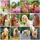 EverShine 5D алмазная вышивка, лошади вышивка крестиком, мозаика искусства, животные, картина стразы, Новые поступления