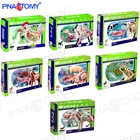 Головоломка с животными, собака, кошка, свинка, лошадь, корова, лягушка, кошка, курица, игрушки для домашних животных, анатомические модели сделай сам, детские подарки, обучающий мастер 4D