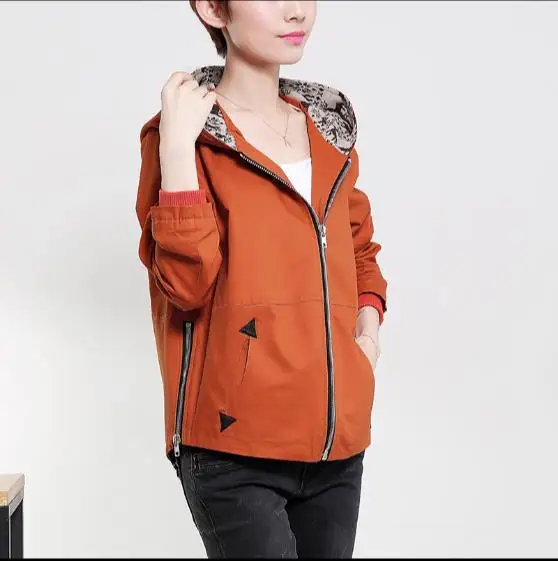 Куртки 2019 Весна новая официальная куртка женская s Базовая с капюшоном Ретро