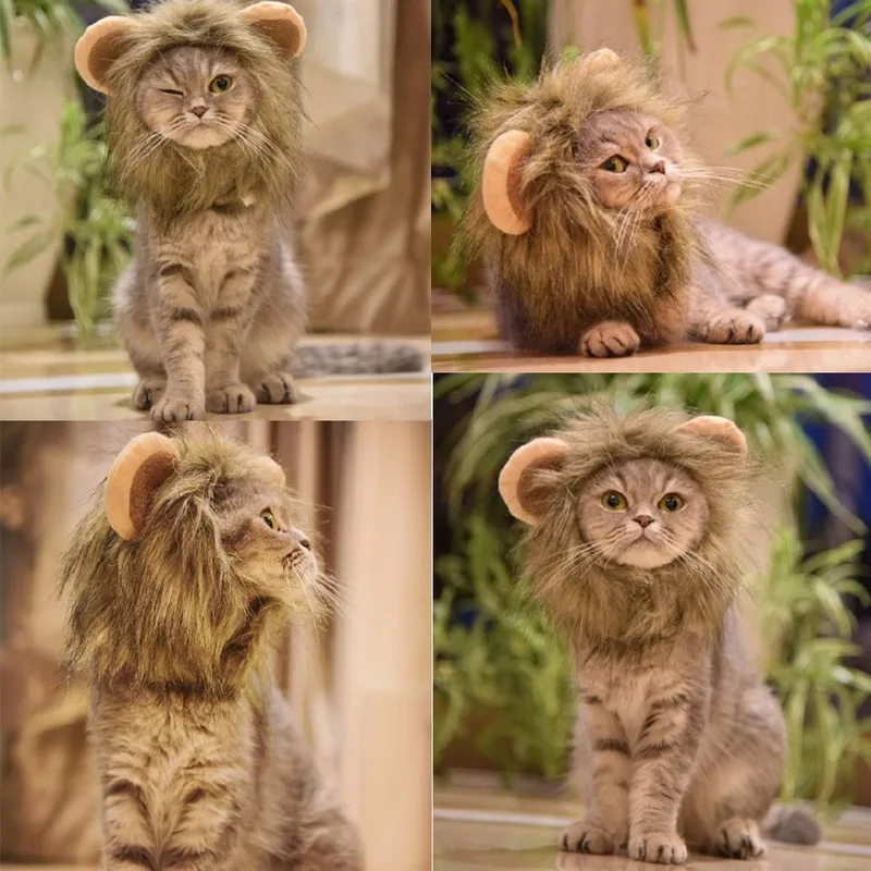 

Lion Head Set Cat Hat Cute Change To Decorate Cat Jewelry Cat Tiara Wig Weird Pet Hat Dog Costume Dog Accessories for Small Dogs