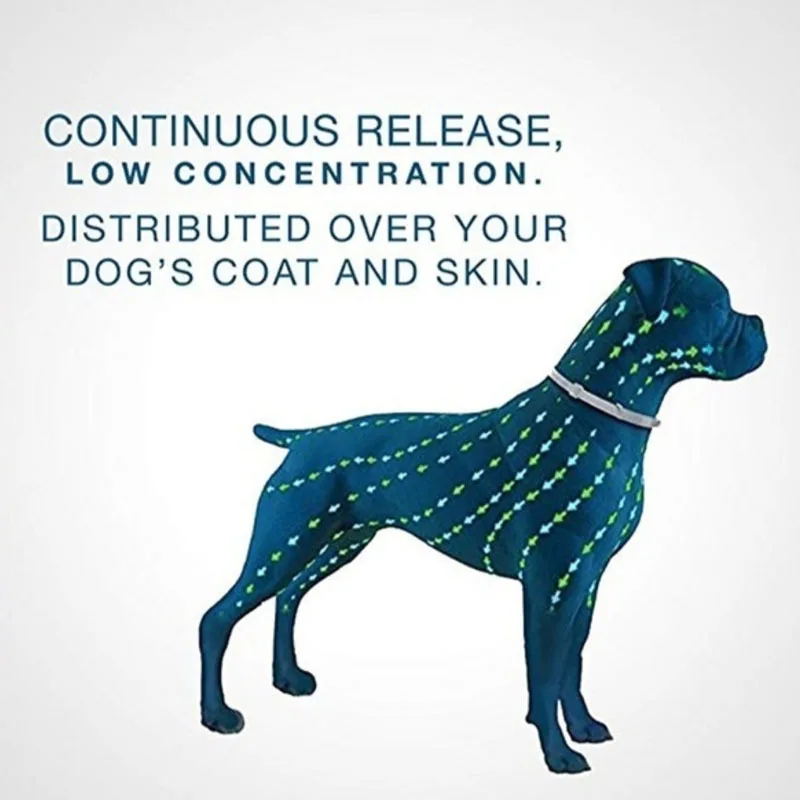 Ошейник для кошек и собак в коробке упаковке | Дом сад