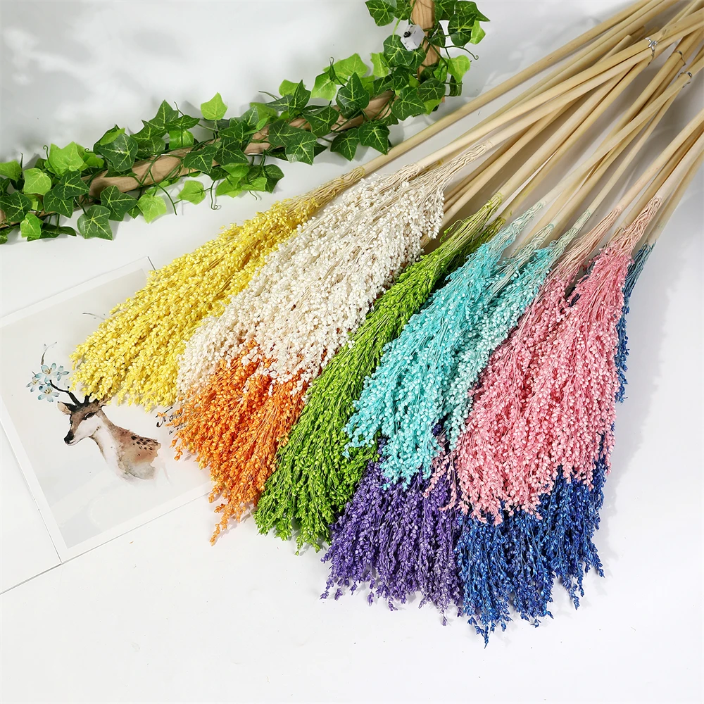 Colorful Natural Dried Flowers Dried Sorghum Decor Real Flower Broom Sorghum For Home Decor Wedding Arrangement Natural Flowers