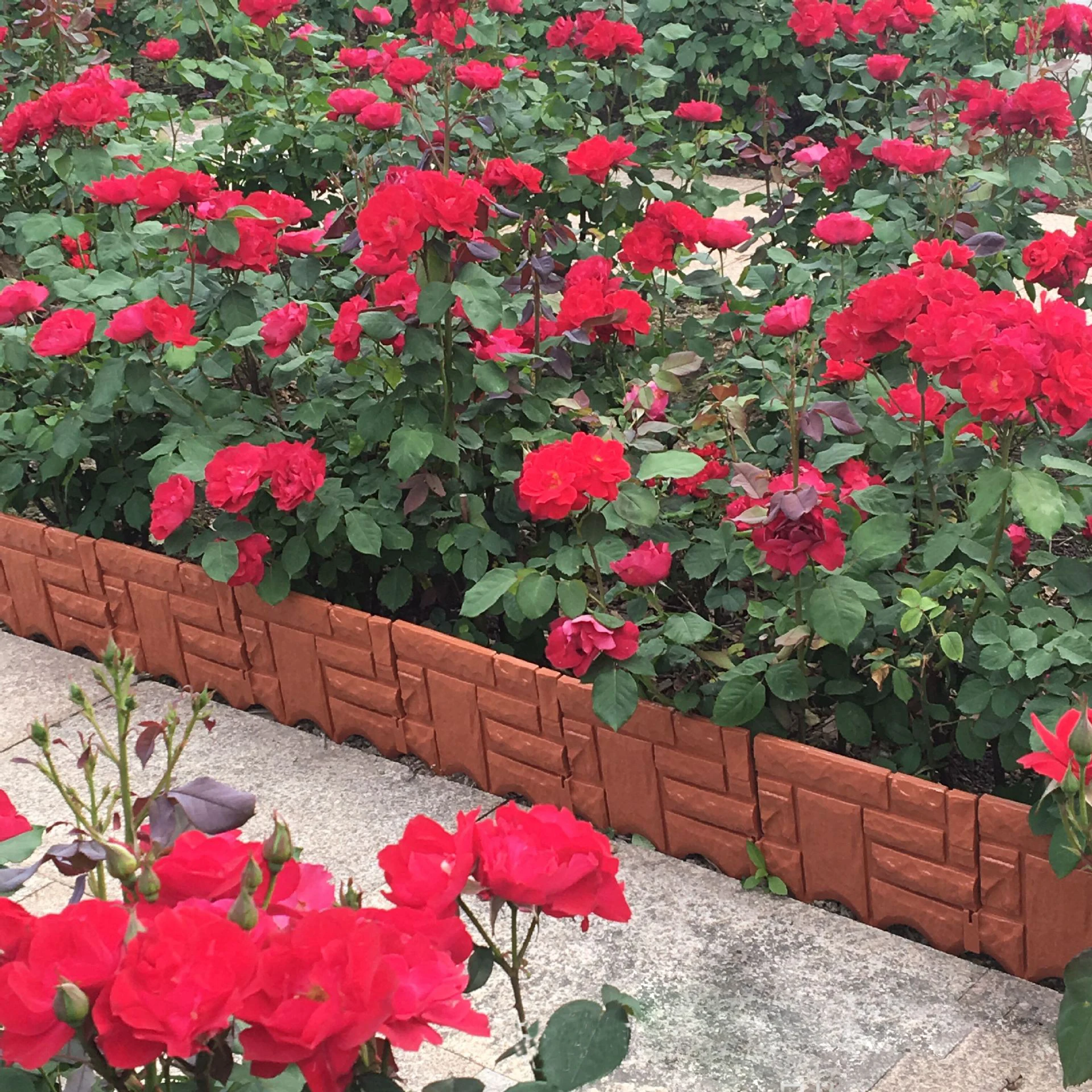 Valla de pl&aacute;stico de PVC para jard&iacute;n o c&eacute;sped, embalaje de piedras de imitaci&oacute;n, 6 piezas, gris y rojo-5