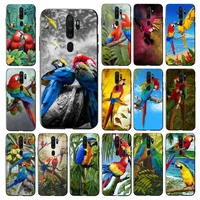 maiyaca parrot art painting phone case for vivo y91c y11 17 19 17 67 81 oppo a9 2020 realme c3