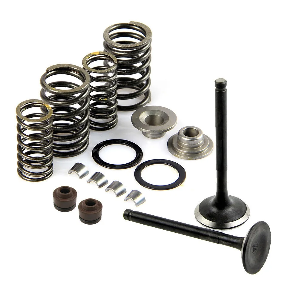 

Wholesale Irbis Dingo T150 Valve & Oil Seal & Guide & Spring & Spring Seat & Valve Lock Set Kit