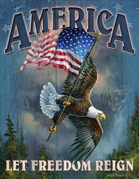

We The People 2nd Amendment Tin Sign, 8 x 12 H America Let Freedom Reign