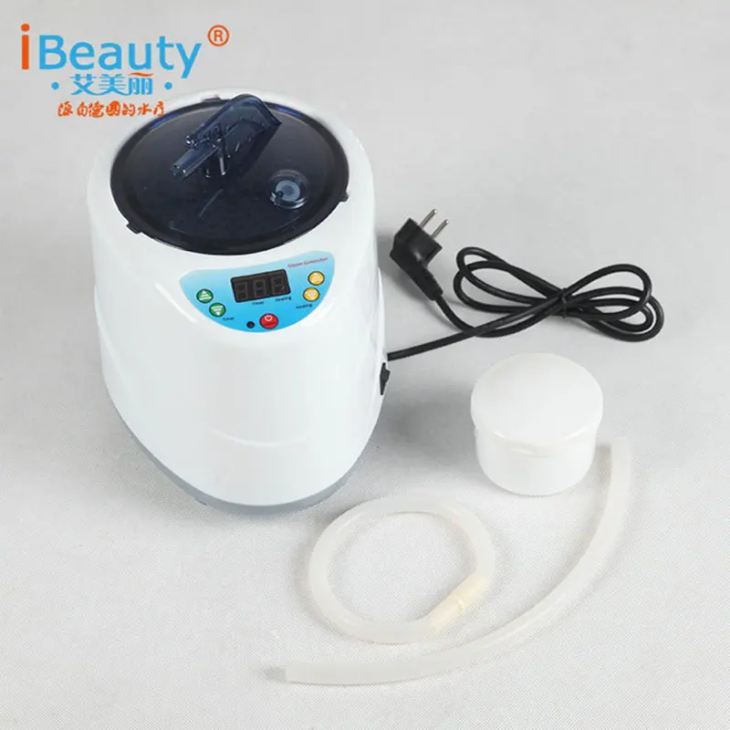 Дома парогенератор CE ROHS 110 В/220 В EU/us Plug 1000 Вт Ёмкость 2L пароход горшок spa для