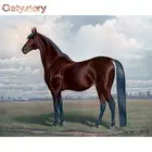 GATYZTORY лошадь DIY цифровая картина по номерам уникальный подарок Декор для дома настенные картины ручная роспись маслом стены произведение искусства