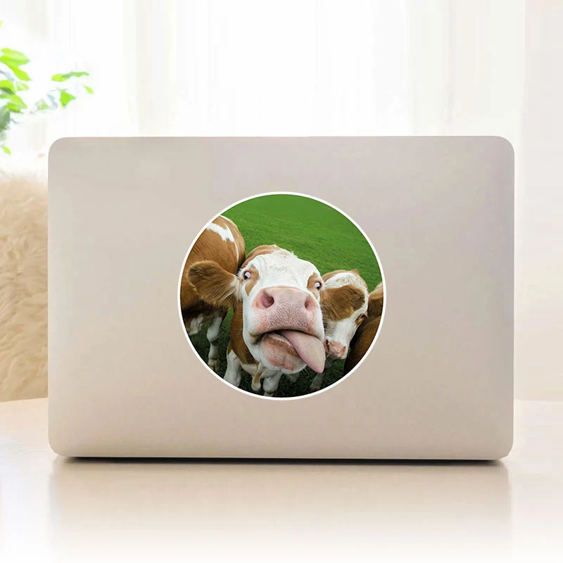 

Животные Ферма Смешные Корова Теленок Ферма Виниловая наклейка для ноутбука / транспортных средств / стены / планшета / окна / двери / телефон...