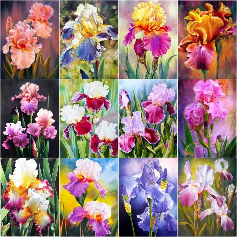 

CHENISTORY 40x50cm Paint By Number Iris Flower Drawing On Canvas Acrylic Handpainted Wall Art Pictures By Number Gift Home Decor