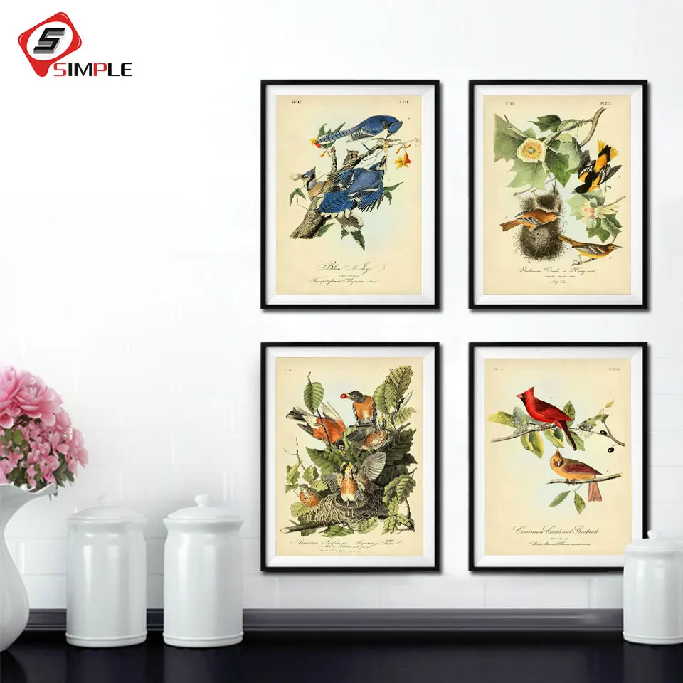 

Audubon Bird Posters andPrints Birds of America Wall Art Botanical Cardinal Blue Jay Robin Oriole Pictures Gift for Nature Lover